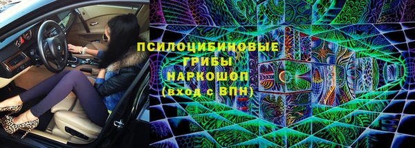 spice Алзамай